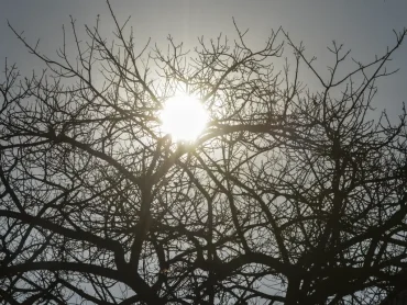 Hortolandia-entra-em-estado-de-emergencia-por-baixa-umidade-relativa-do-ar