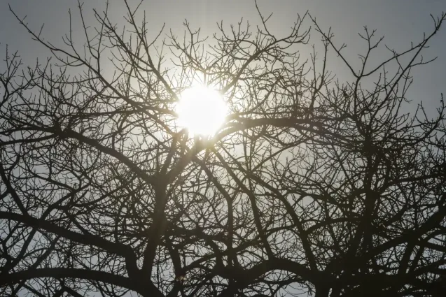 Hortolandia-entra-em-estado-de-emergencia-por-baixa-umidade-relativa-do-ar